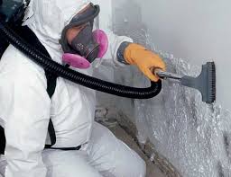 Best Mold Remediation for Healthcare Facilities  in Arrowhead Beach, NC